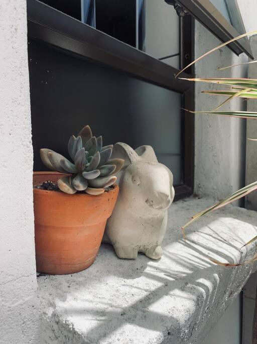 Appartement Sweeter Than Sultana Le Cap